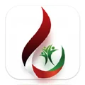 نظام الدعم الوطني