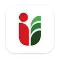 توطين